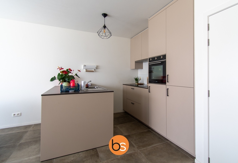Recente woning met 3 slaapkamers en garage te Hulste