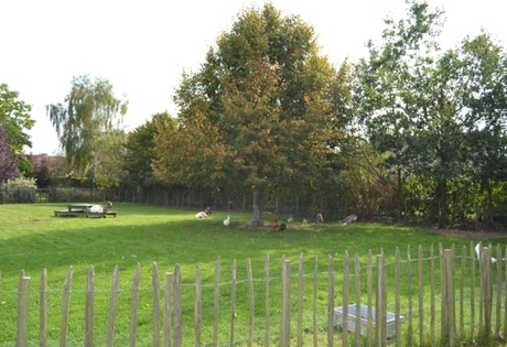 BOUWGROND TE KOOP IN ROLLEGEM KAPELLE